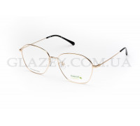 Медицинская оправа Polaroid PLD D425/G RHL5615