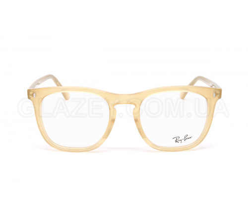 Оправа Ray-Ban RX 2210V 8383