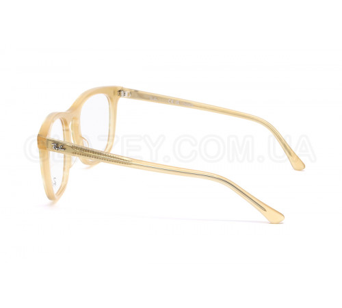 Оправа Ray-Ban RX 2210V 8383