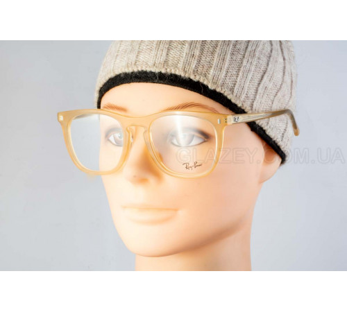 Оправа Ray-Ban RX 2210V 8383