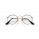 Оправа Ray-Ban RX 3447V 3173
