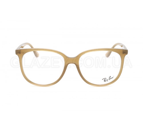 Оправа Ray-Ban RX 4378V 8412