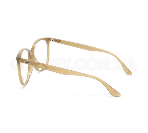 Оправа Ray-Ban RX 4378V 8412
