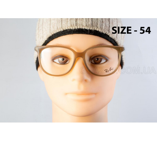 Оправа Ray-Ban RX 4378V 8412