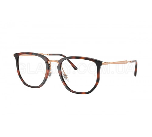 Оправа Ray-Ban RX 4451V 5687