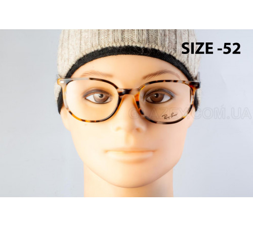 Оправа Ray-Ban RX 5397 8173