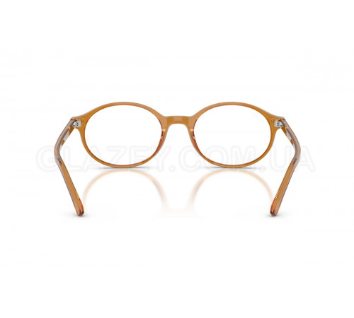 Оправа Ray-Ban RX 5429 8439