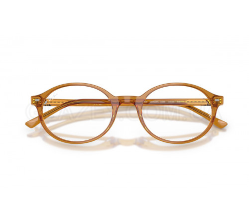 Оправа Ray-Ban RX 5429 8439