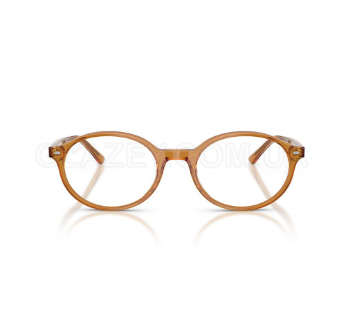 Оправа Ray-Ban RX 5429 8439