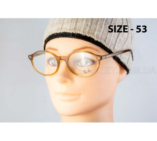 Оправа Ray-Ban RX 5429 8439