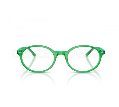 Оправа Ray-Ban RX 5429 8441