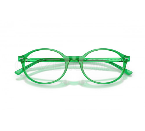 Оправа Ray-Ban RX 5429 8441