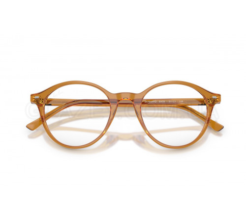 Оправа Ray-Ban RX 5430 8439