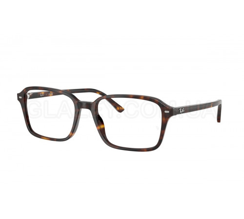 Оправа Ray-Ban RX 5431 2012