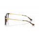 Оправа Ray-Ban RX 5442D 2012