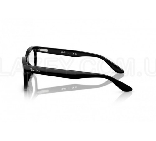 Оправа Ray-Ban RX 5489 2000