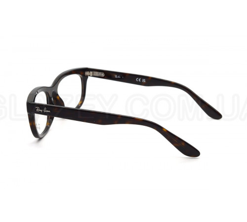 Оправа Ray-Ban RX 5489 2012