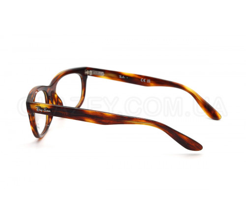 Оправа Ray-Ban RX 5489 2144