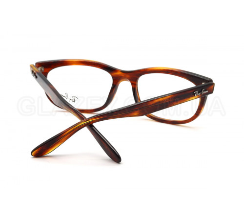 Оправа Ray-Ban RX 5489 2144