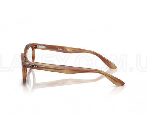 Оправа Ray-Ban RX 5489 8399