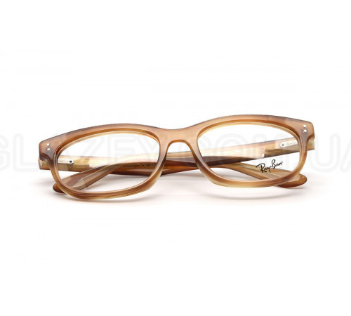 Оправа Ray-Ban RX 5489 8399
