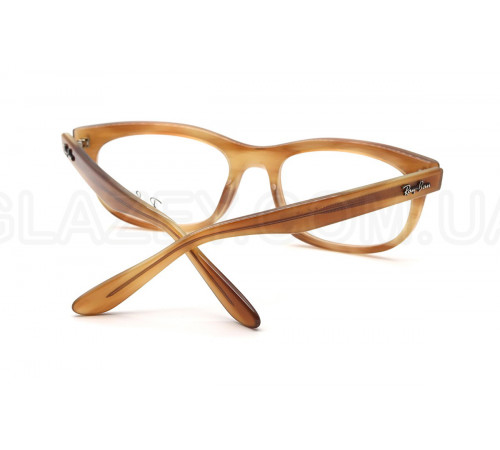 Оправа Ray-Ban RX 5489 8399