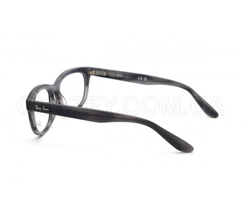 Оправа Ray-Ban RX 5489 8400