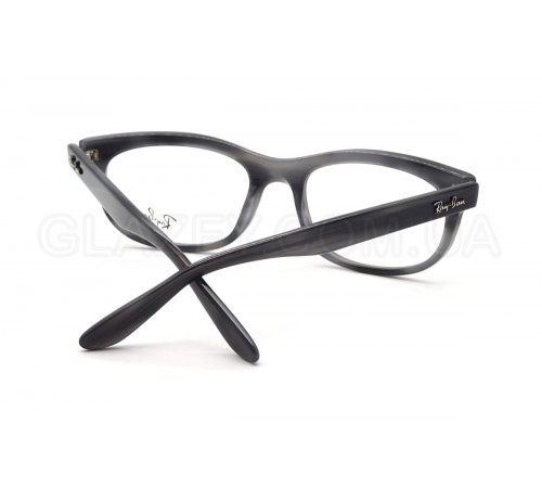 Оправа Ray-Ban RX 5489 8400