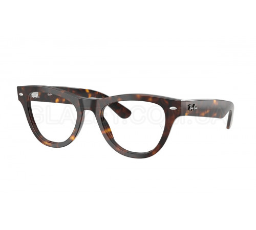 Оправа Ray-Ban RX 5510 2012