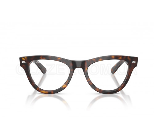 Оправа Ray-Ban RX 5510 2012