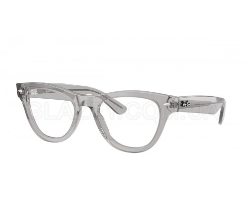 Оправа Ray-Ban RX 5510 2102