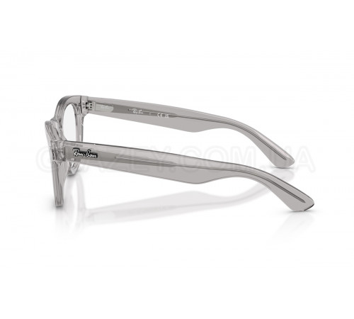 Оправа Ray-Ban RX 5510 2102