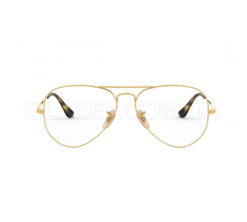 Оправа Ray-Ban RX 6489 2500