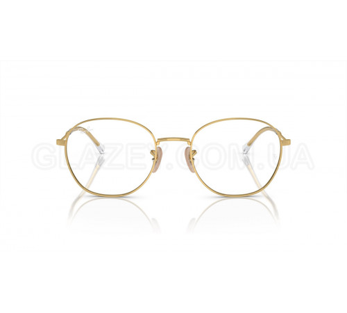Оправа Ray-Ban RX 6509 2500