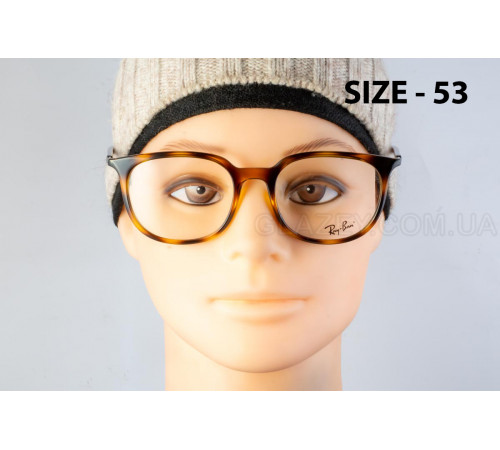 Оправа Ray-Ban RX 7190 2012