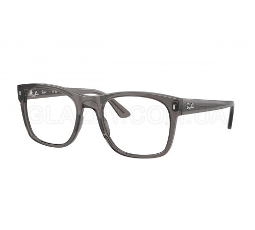 Оправа Ray-Ban RX 7228 8257