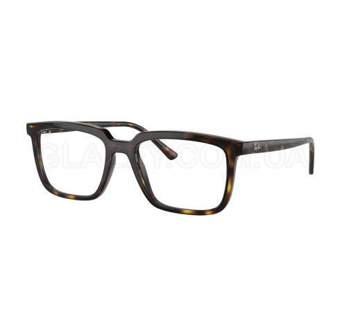 Оправа Ray-Ban RX 7239 2012