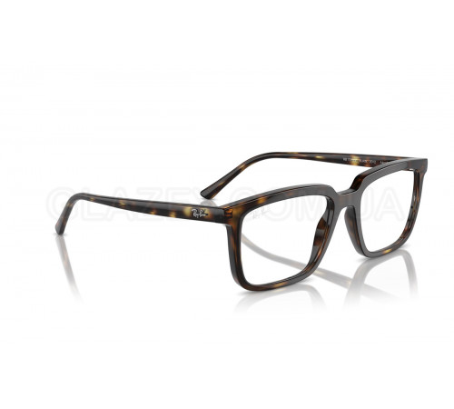 Оправа Ray-Ban RX 7239 2012