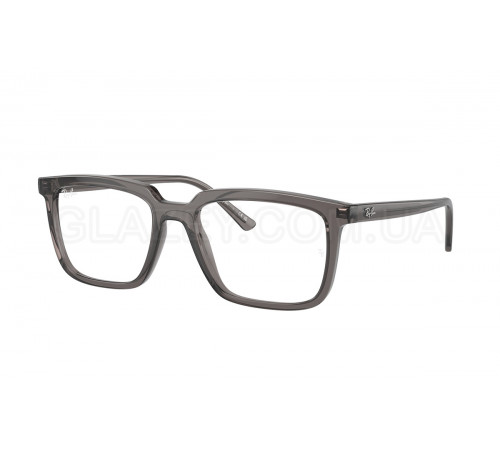 Оправа Ray-Ban RX 7239 8257