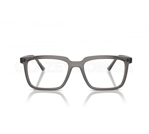 Оправа Ray-Ban RX 7239 8257