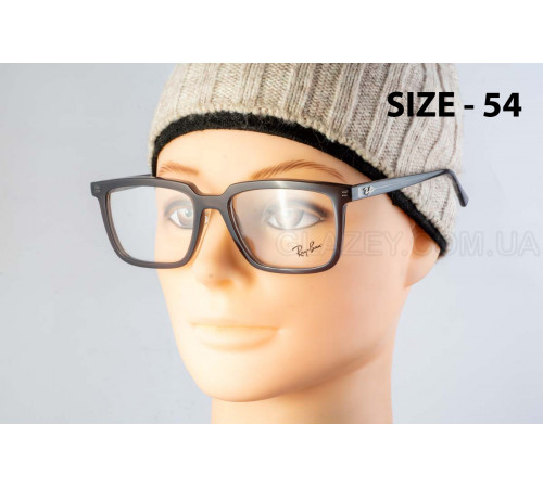 Оправа Ray-Ban RX 7239 8257