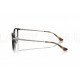 Оправа Ray-Ban RX 7247D 2012