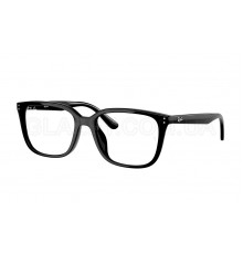 Оправа Ray-Ban RX 7248D 2000