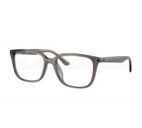 Оправа Ray-Ban RX 7248D 8257