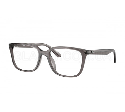 Оправа Ray-Ban RX 7248D 8257