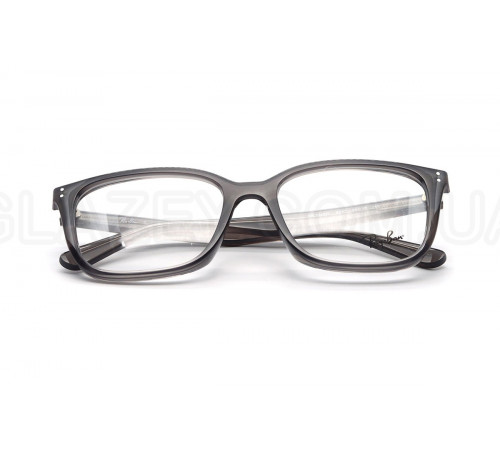 Оправа Ray-Ban RX 7248D 8257