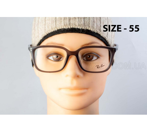 Оправа Ray-Ban RX 7248D 8257