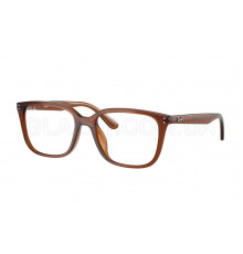 Оправа Ray-Ban RX 7248D 8409
