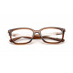 Оправа Ray-Ban RX 7248D 8409
