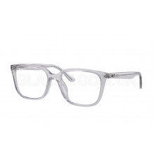 Оправа Ray-Ban RX 7248D 8411
